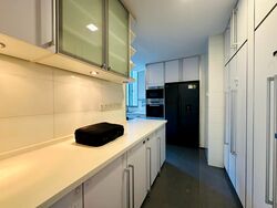 Cairnhill Crest (D9), Condominium #428290801